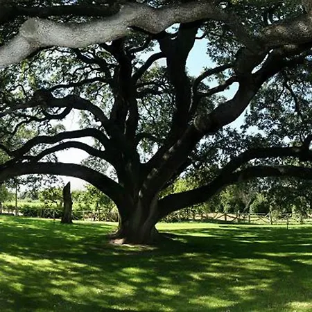 La Casita De La Planta Hotel Quintanilla de Onésimo