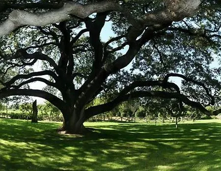 La Casita De La Planta Hotel