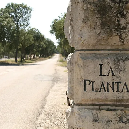 La Casita De La Planta 4* Quintanilla de Onésimo