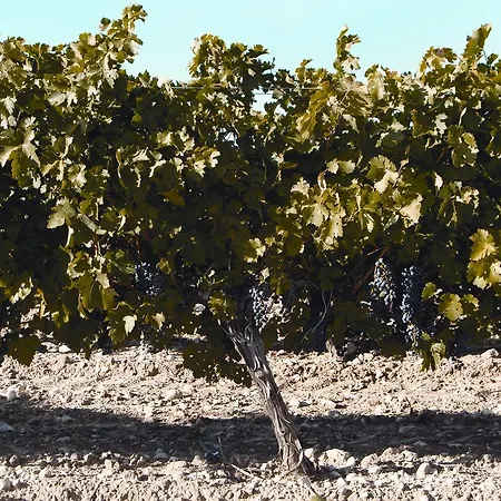 La Casita De La Planta Hotel 4*