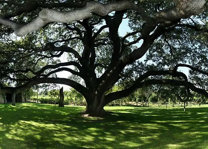La Casita De La Planta 호텔 킨타니야 데 오네시모