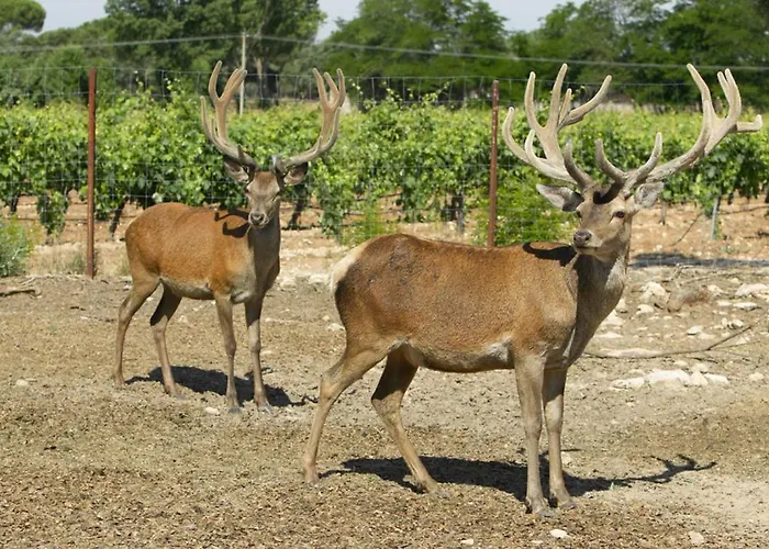La Casita De La Planta 호텔