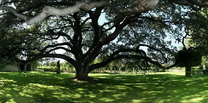 La Casita De La Planta Hotel