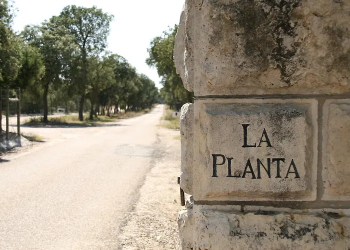 La Casita De La Planta 4* 킨타니야 데 오네시모