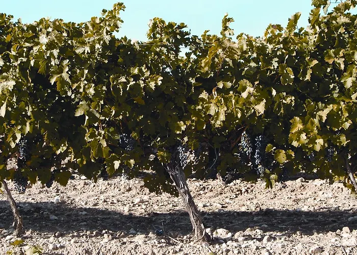 La Casita De La Planta Hotel 4*